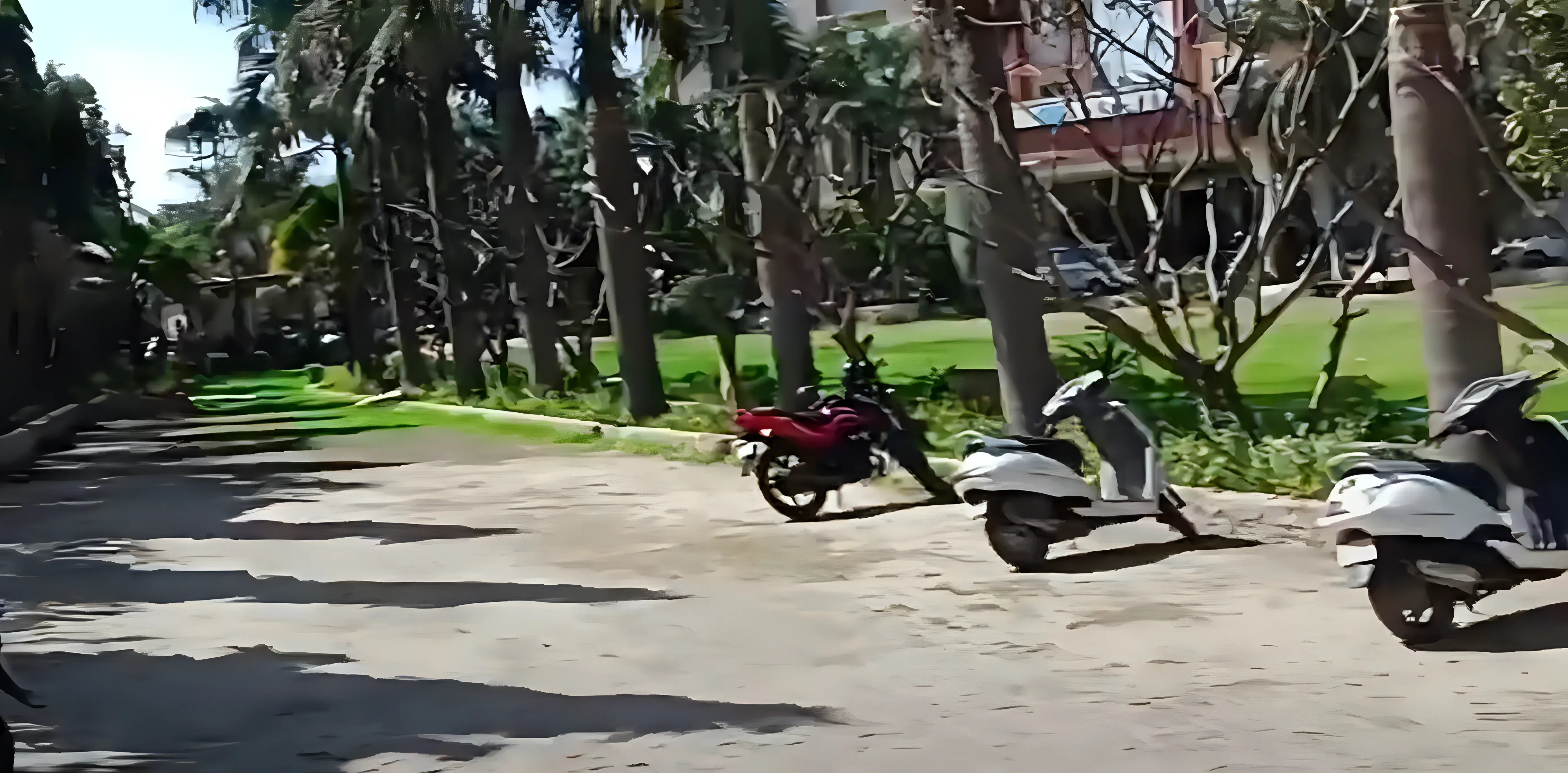 DIET Meerut campus photo 13